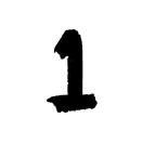Initial Consultation